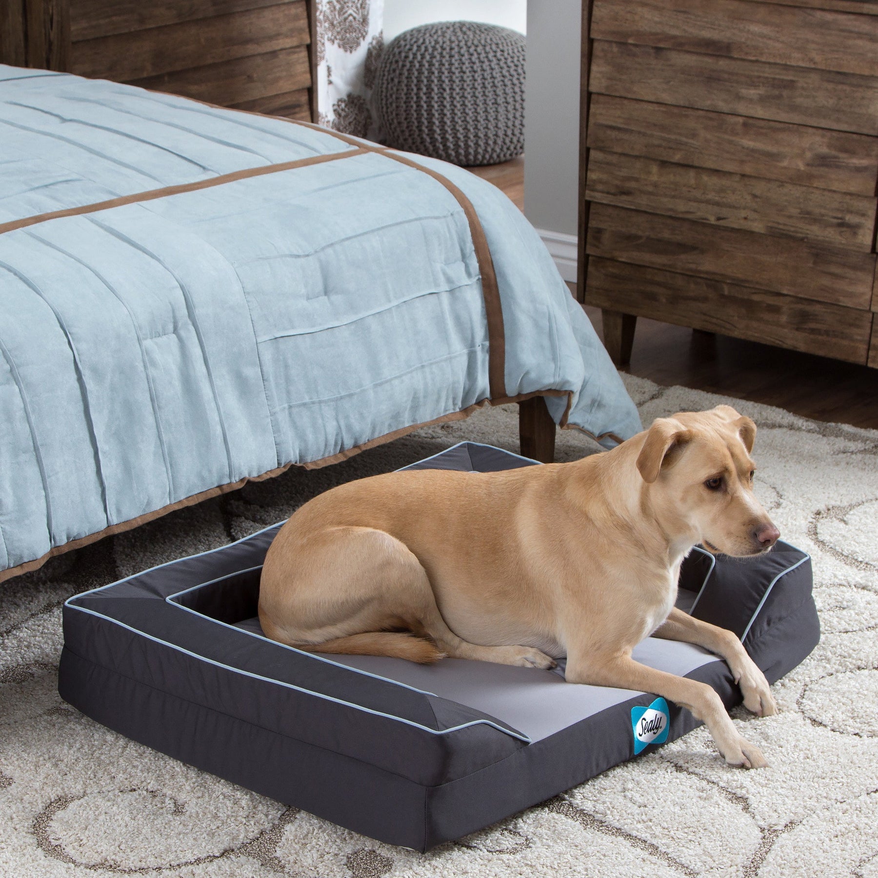 Sealy Lux Orthopedic Dog Bed VetsHome